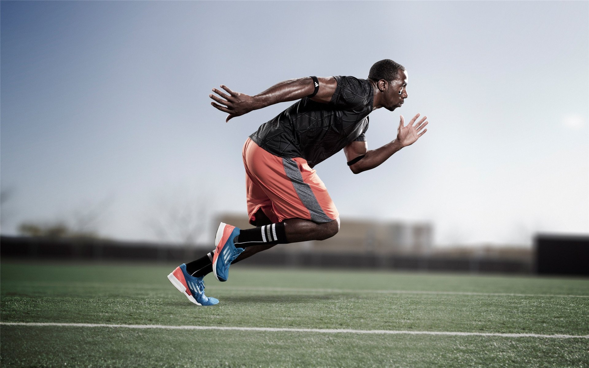 乌鸦的节奏太快了，进攻组打得行云流水，乌鸦攻击什么